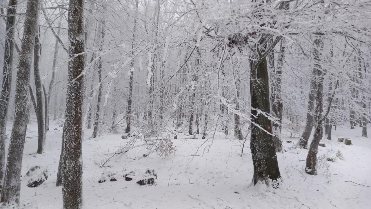 Chata Korenny Vrch Pezinska Baba Pezinok Zewnętrze zdjęcie