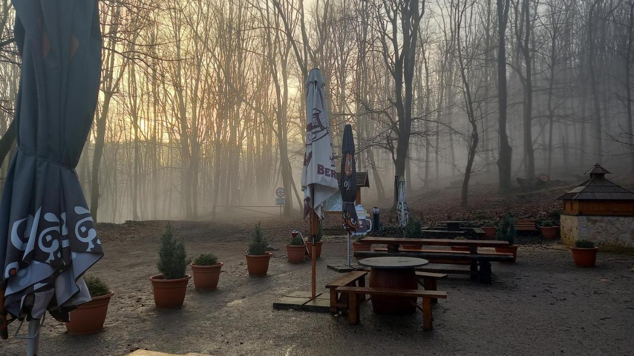Chata Korenny Vrch Pezinska Baba Pezinok Zewnętrze zdjęcie