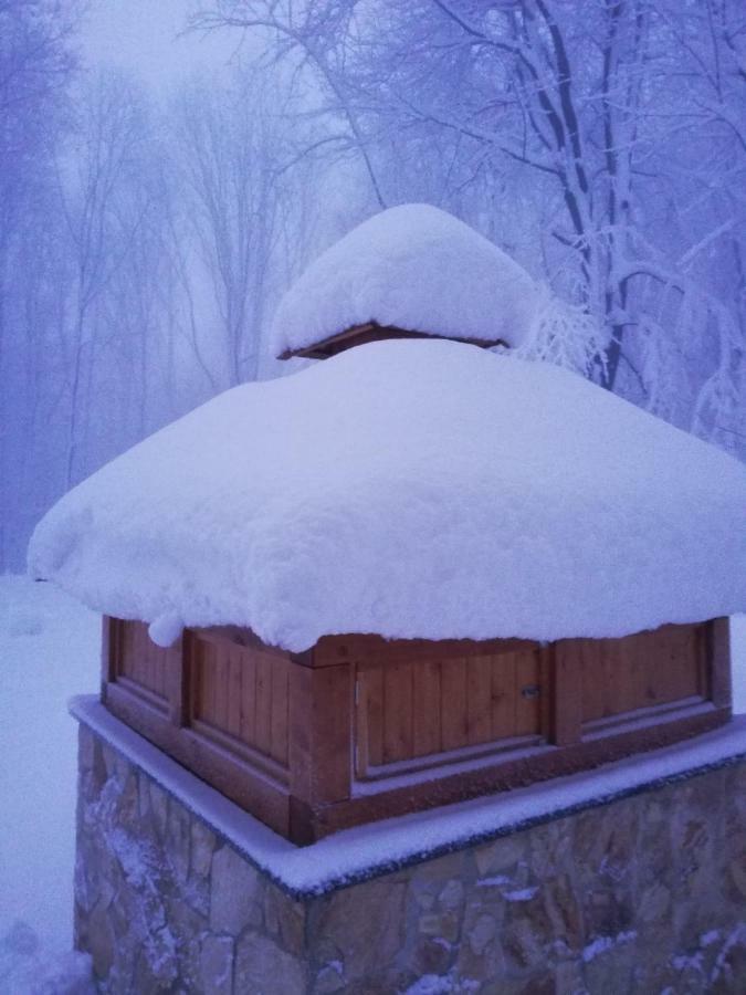 Chata Korenny Vrch Pezinska Baba Pezinok Zewnętrze zdjęcie