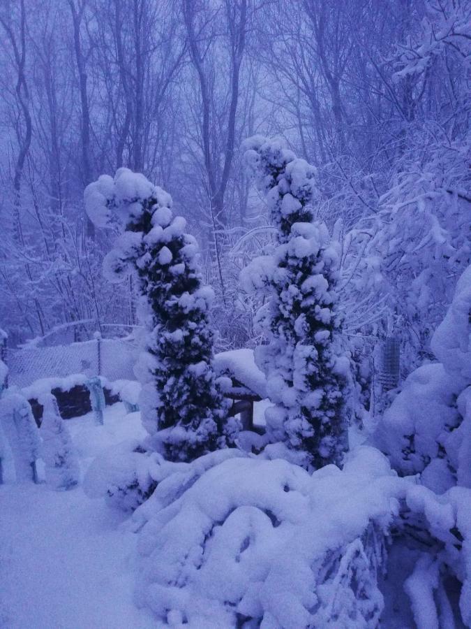 Chata Korenny Vrch Pezinska Baba Pezinok Zewnętrze zdjęcie
